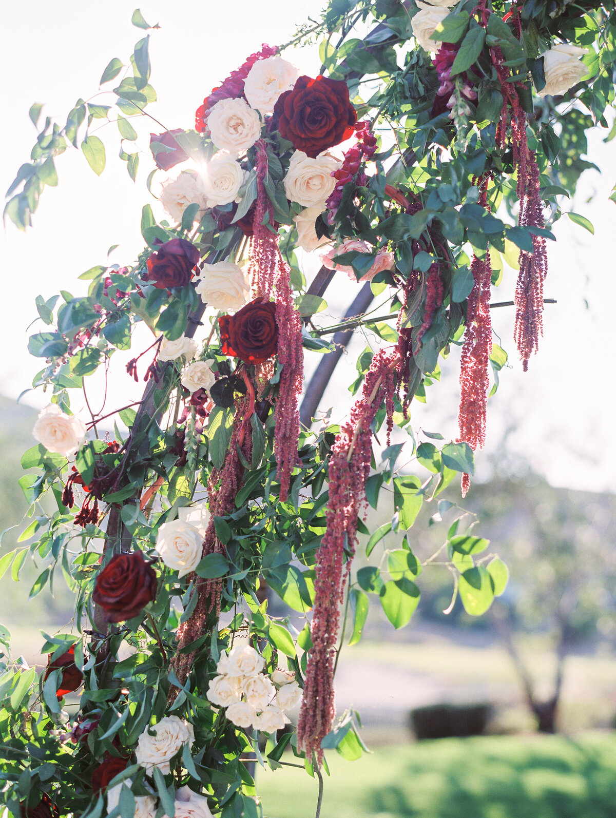 Brooke Jarek Sneak-1026