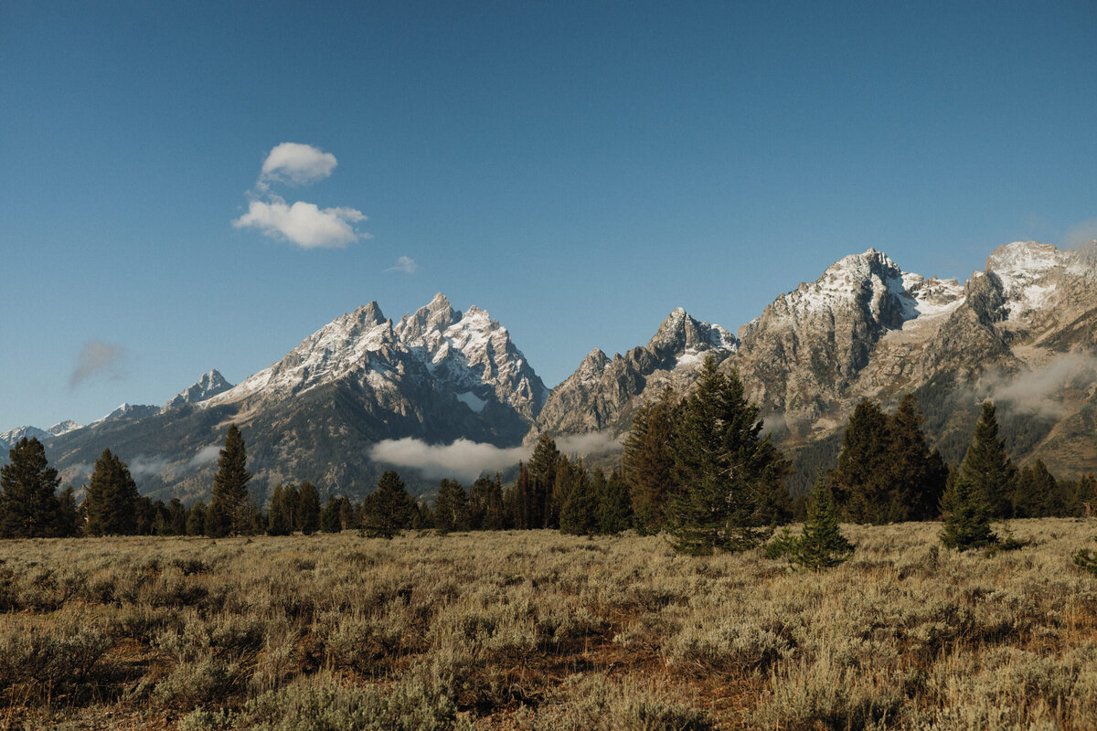National-Parks-Coffee-Jess-Rankin-Photographer-9