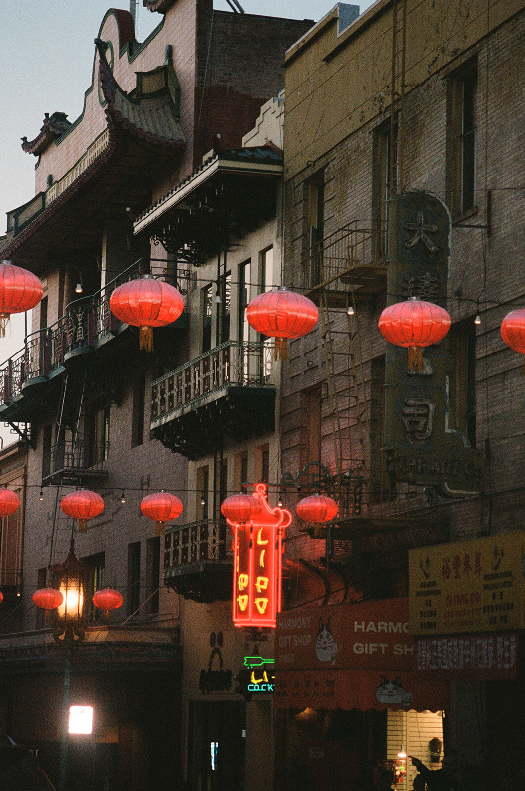 Maya&Fred-Chinatown-SunsetPortraits-83