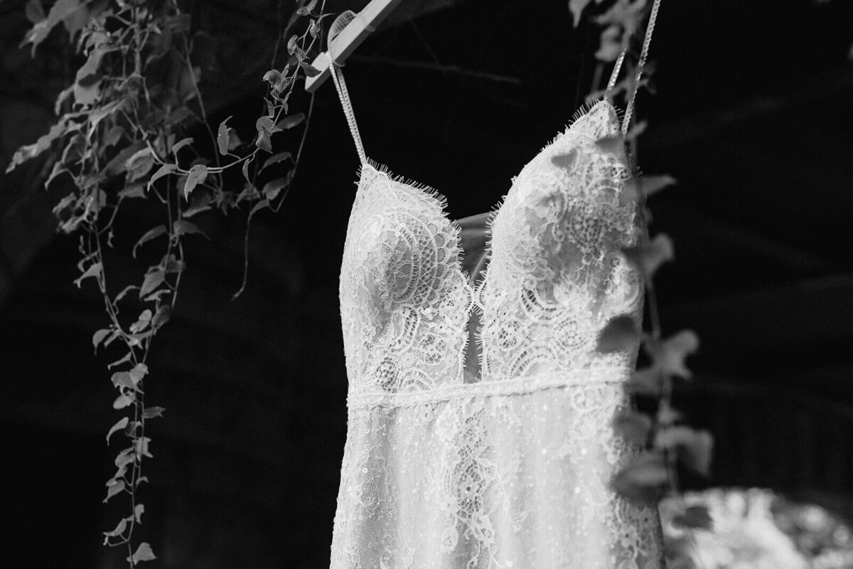 wedding dress hanging outside with ivy draping down