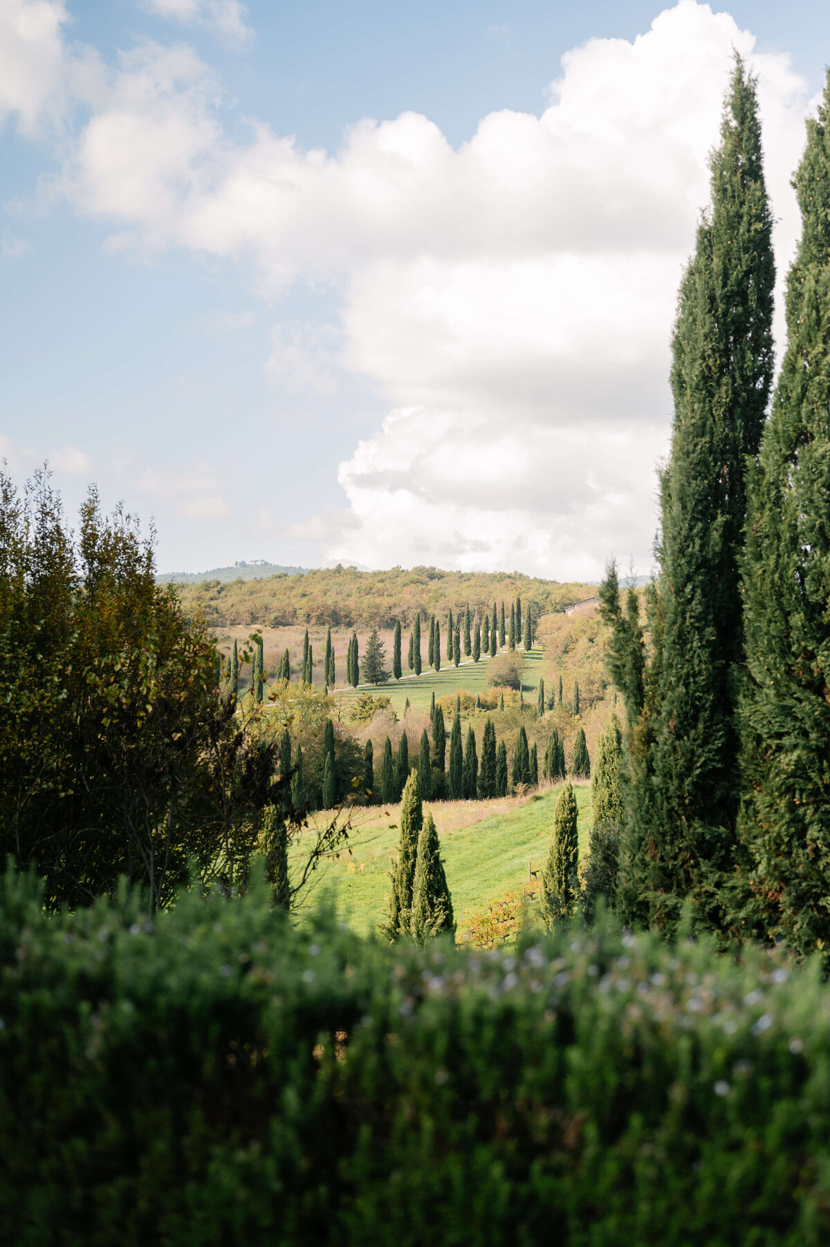 tinted-events-design-and-planning-tuscany-italy-wedding-Villa-la-Selva-l-and-v-photography-destination-wedding-planner-tintedevents.com-122