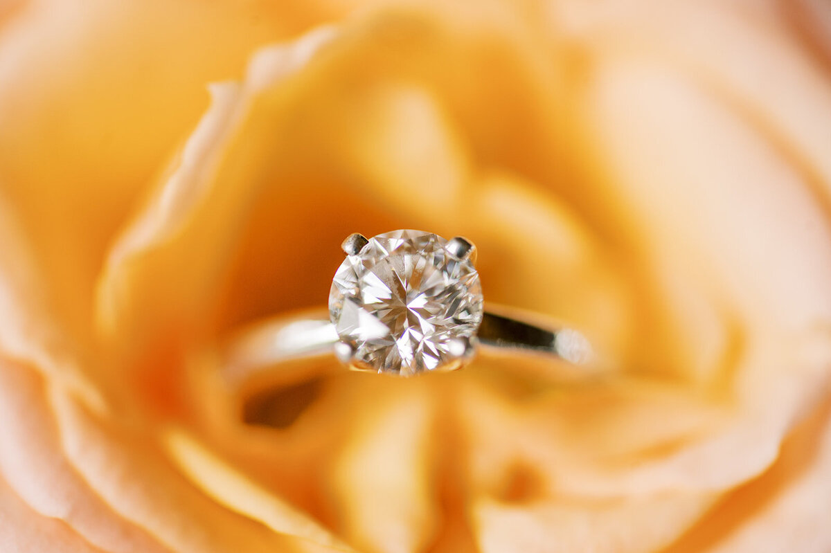 Tom&EmWeddings-8728_websize