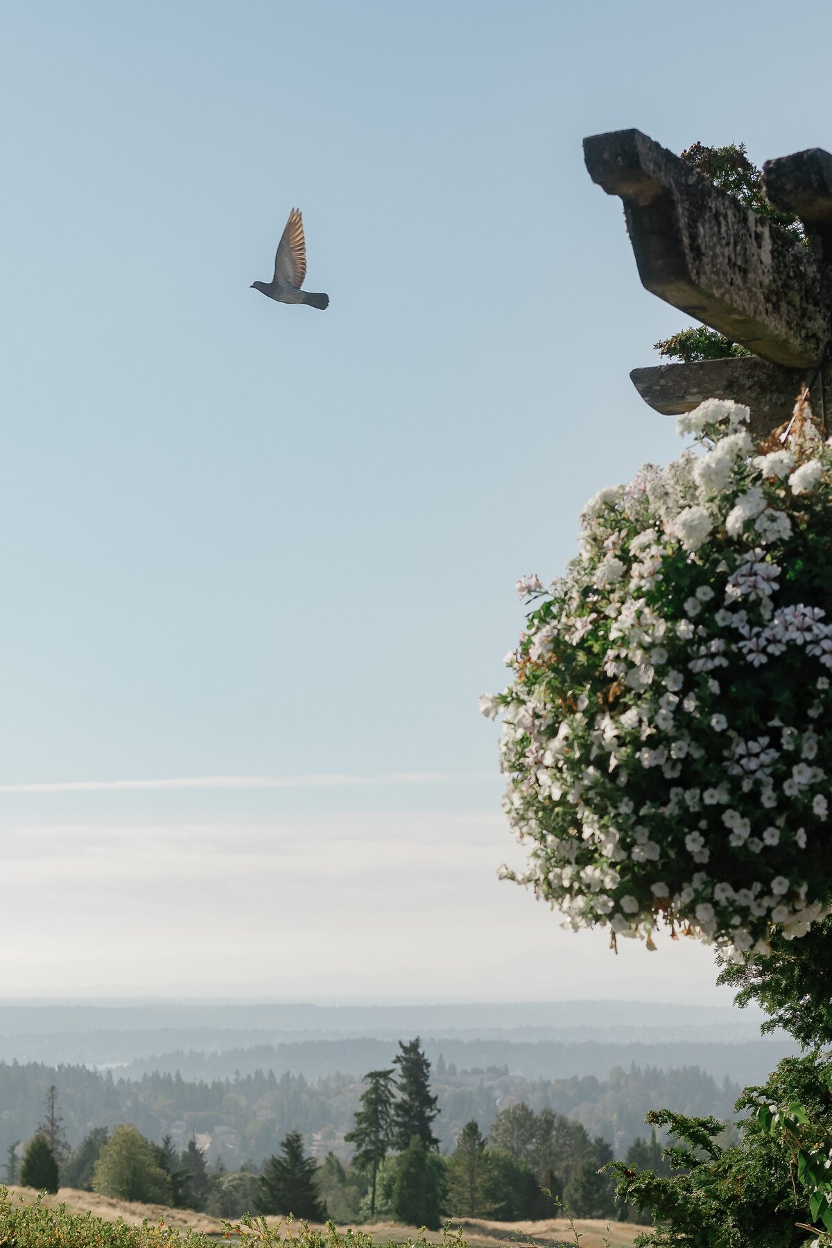 priyankapatricksneaks-mylaliphotos-14