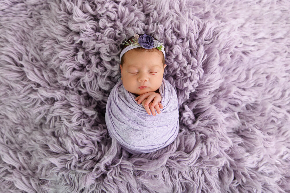 Toronto-newborn-photographer--503