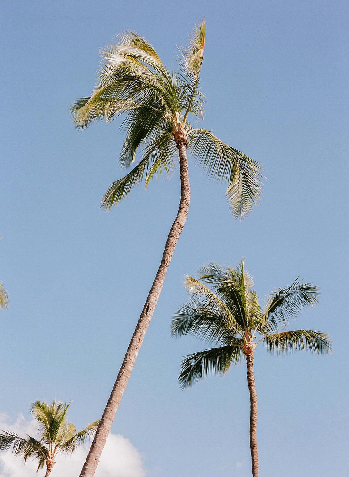 maui-hawaii-wedding-clay-austin-photography-23