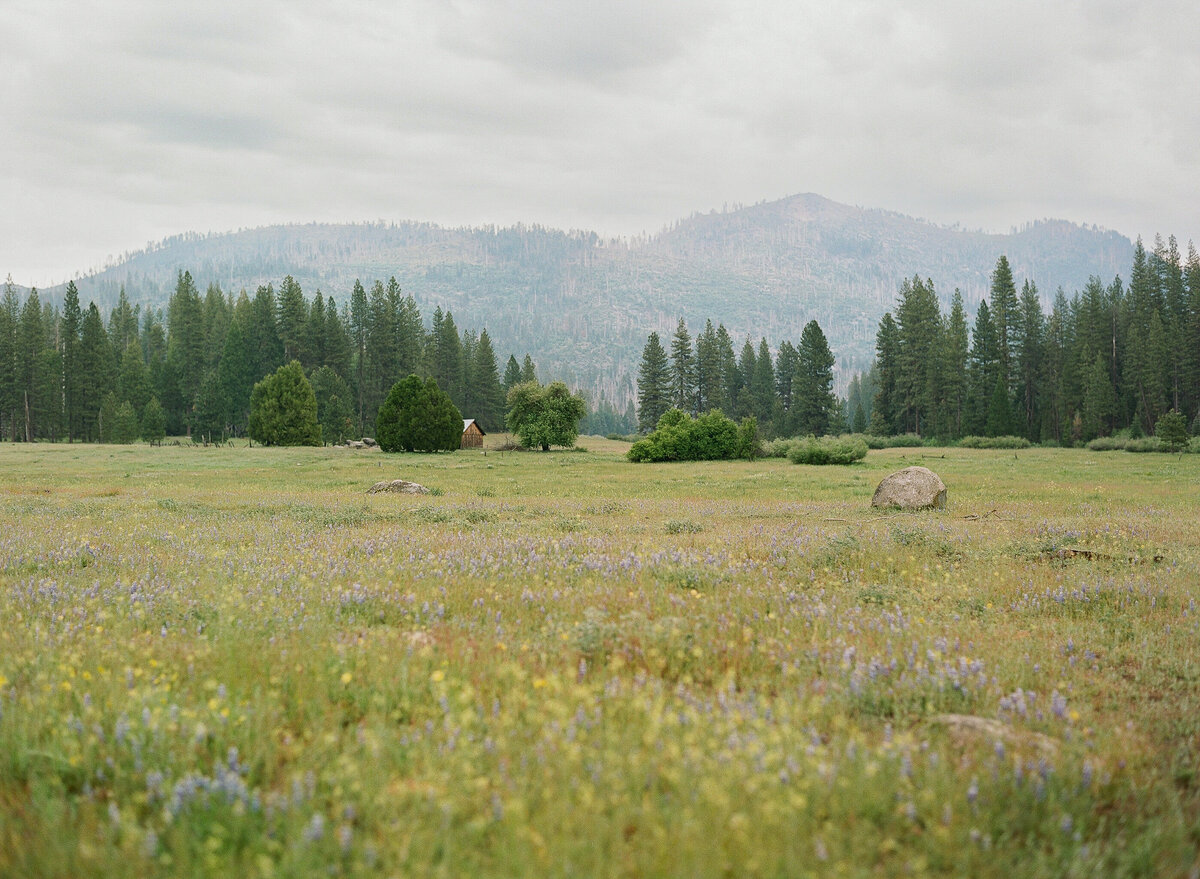 Evergreen Lodge Wedding-1