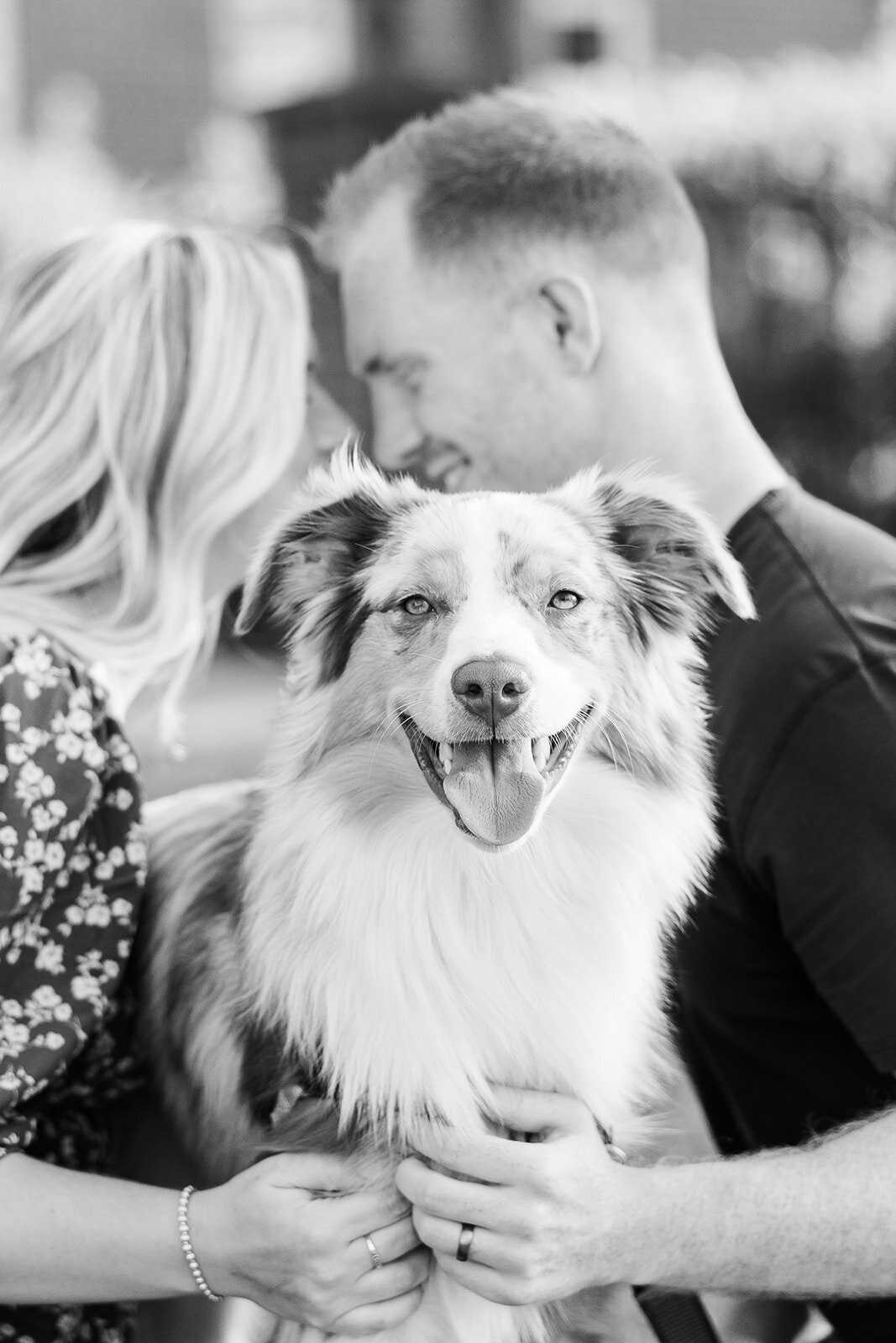 Alexis Fox Photography + Couple Session + Cox Hall Gardens + Carmel + Indiana (9 of 64)