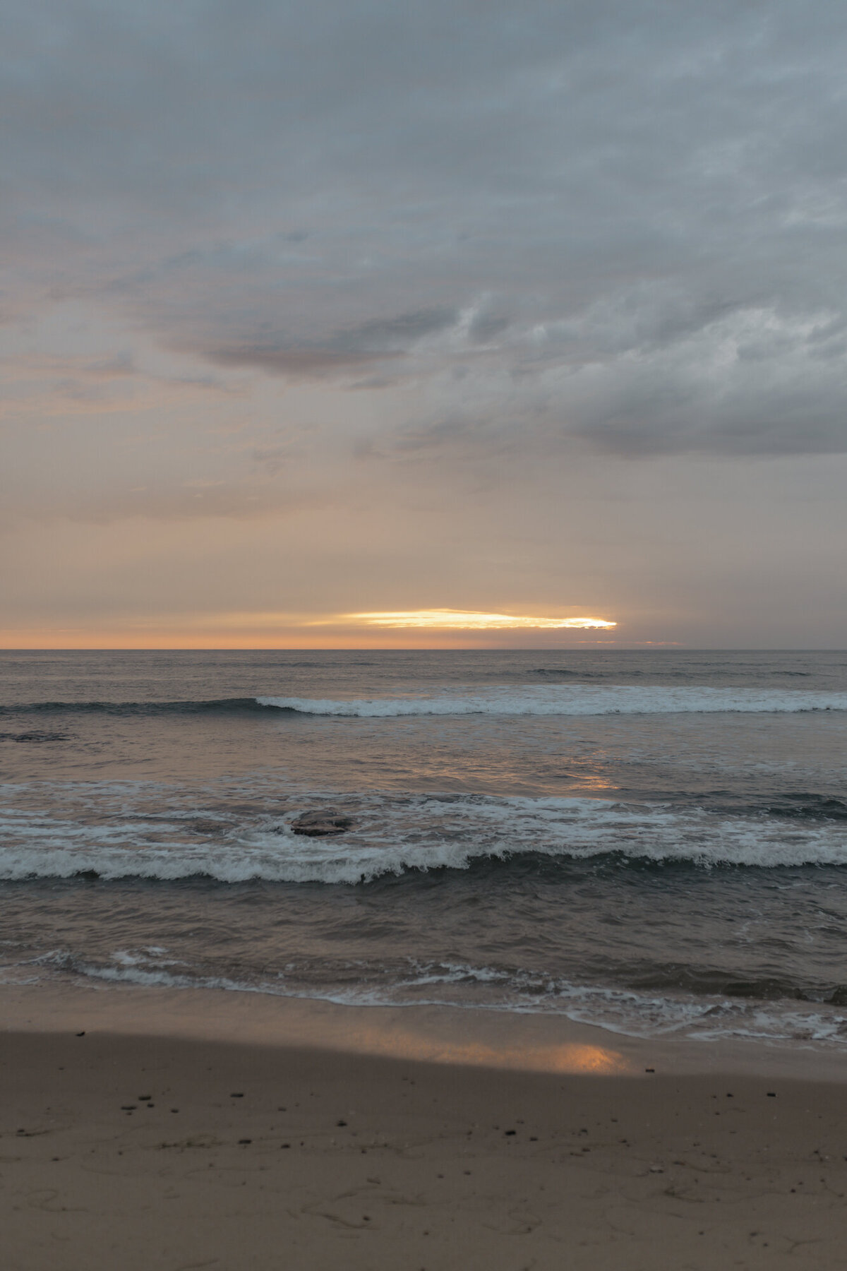 DSC_7401