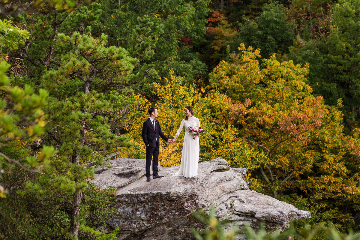 Wiseman's-View-NC-Elopement-29