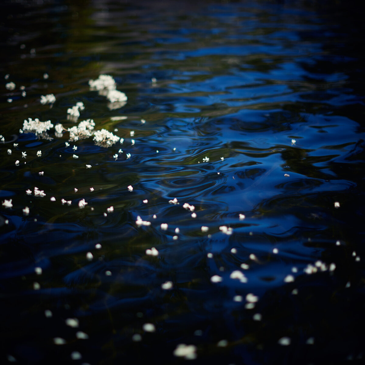 20151006___MG_6055