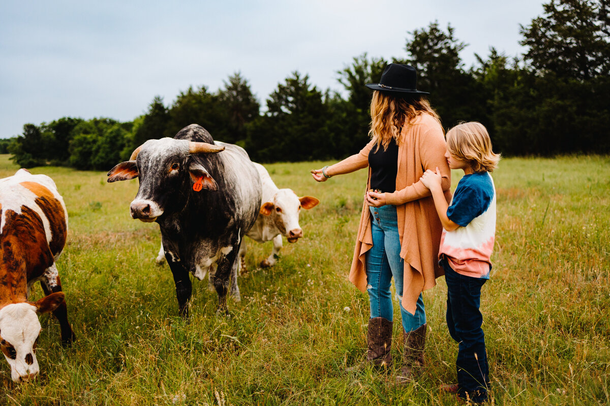 Family picture photographer in Albuquerque captures a memorable farm scene. The woman, dressed in blue jeans, a black shirt, and an orange sack, is lying on her back, reaching out to touch the cows. Her child, in a white shirt and blue jeans, holds her hand, creating a touching moment of connection against the backdrop of a pastoral farm setting