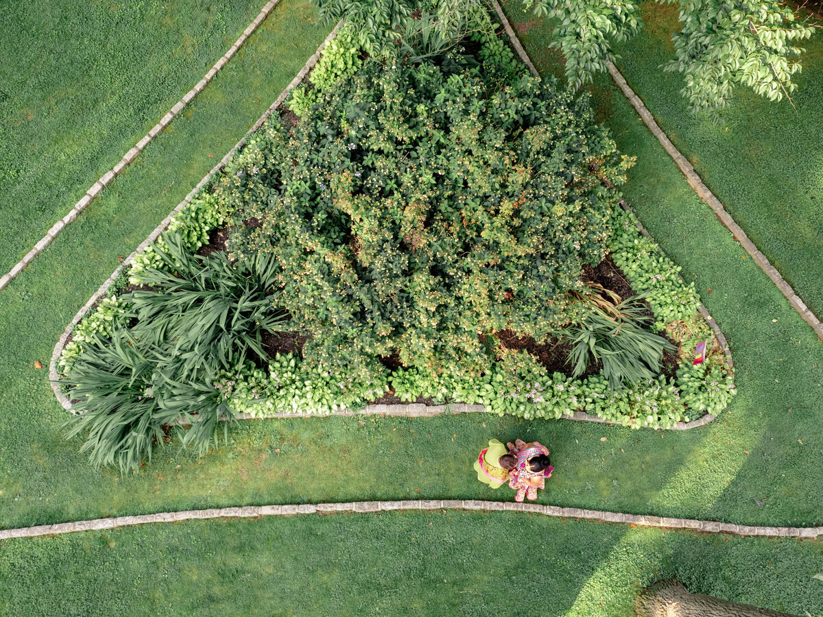 Aerial view of a triangular garden with a dense tree in the center, surrounded by grass and pathways. Two people sit on the grass at the bottom of the image, facing the tree.