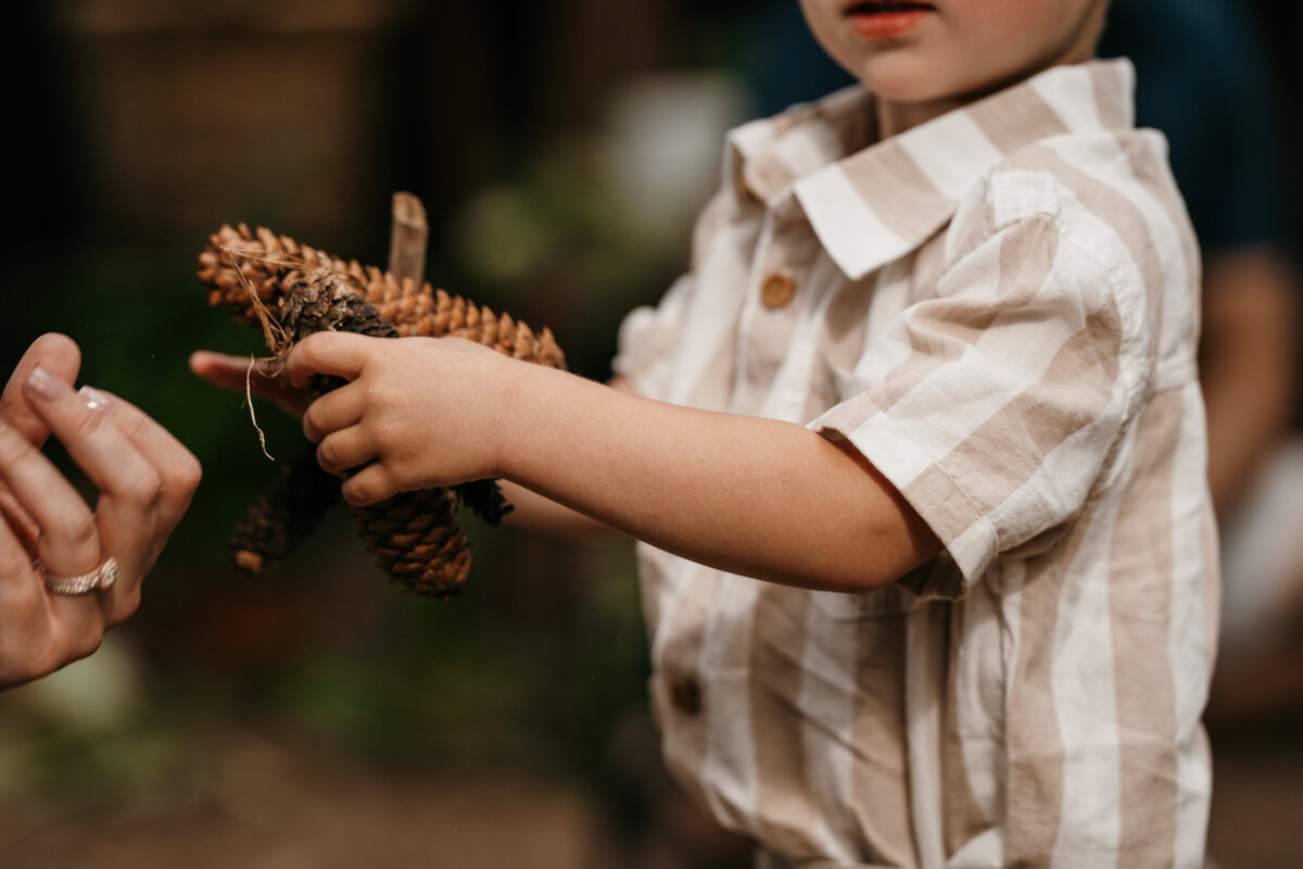 Beyond the Pines MN family Photographer