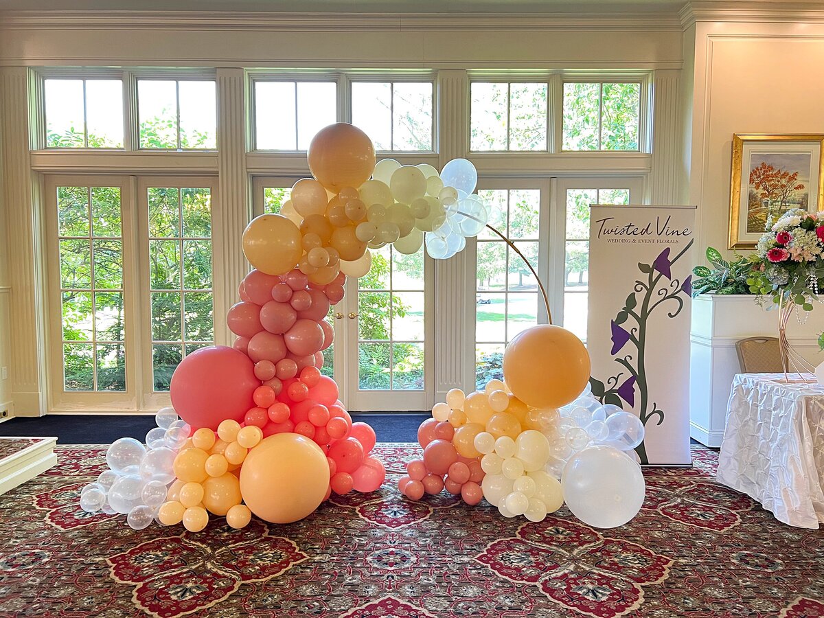 Deerfield Balloon 1
