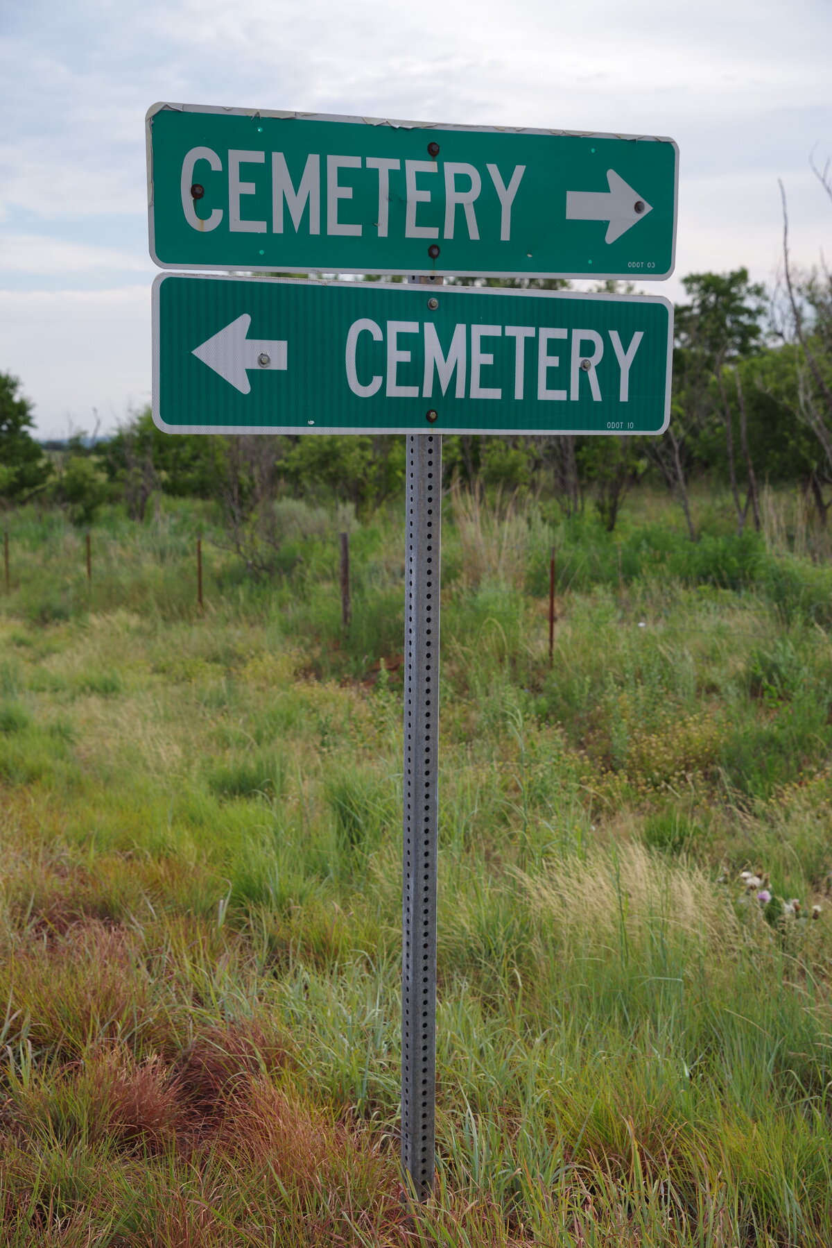 IMGP7703