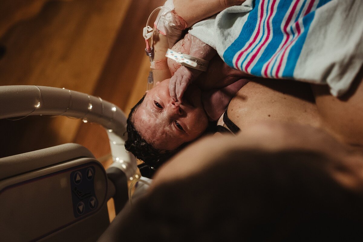 haley carney photography birth photography kankakee illinois