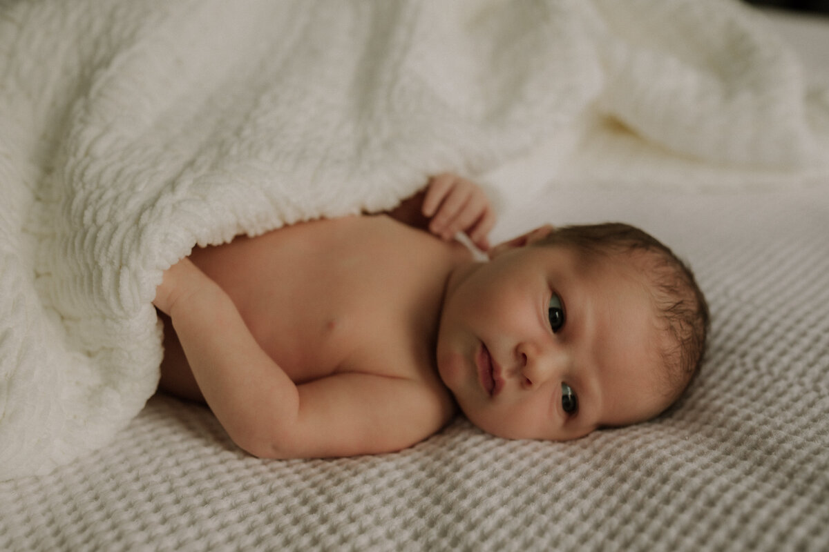 jaimie-scott-lennon-newborn-family-photography-dundas-ancaster-fall-autumn-2