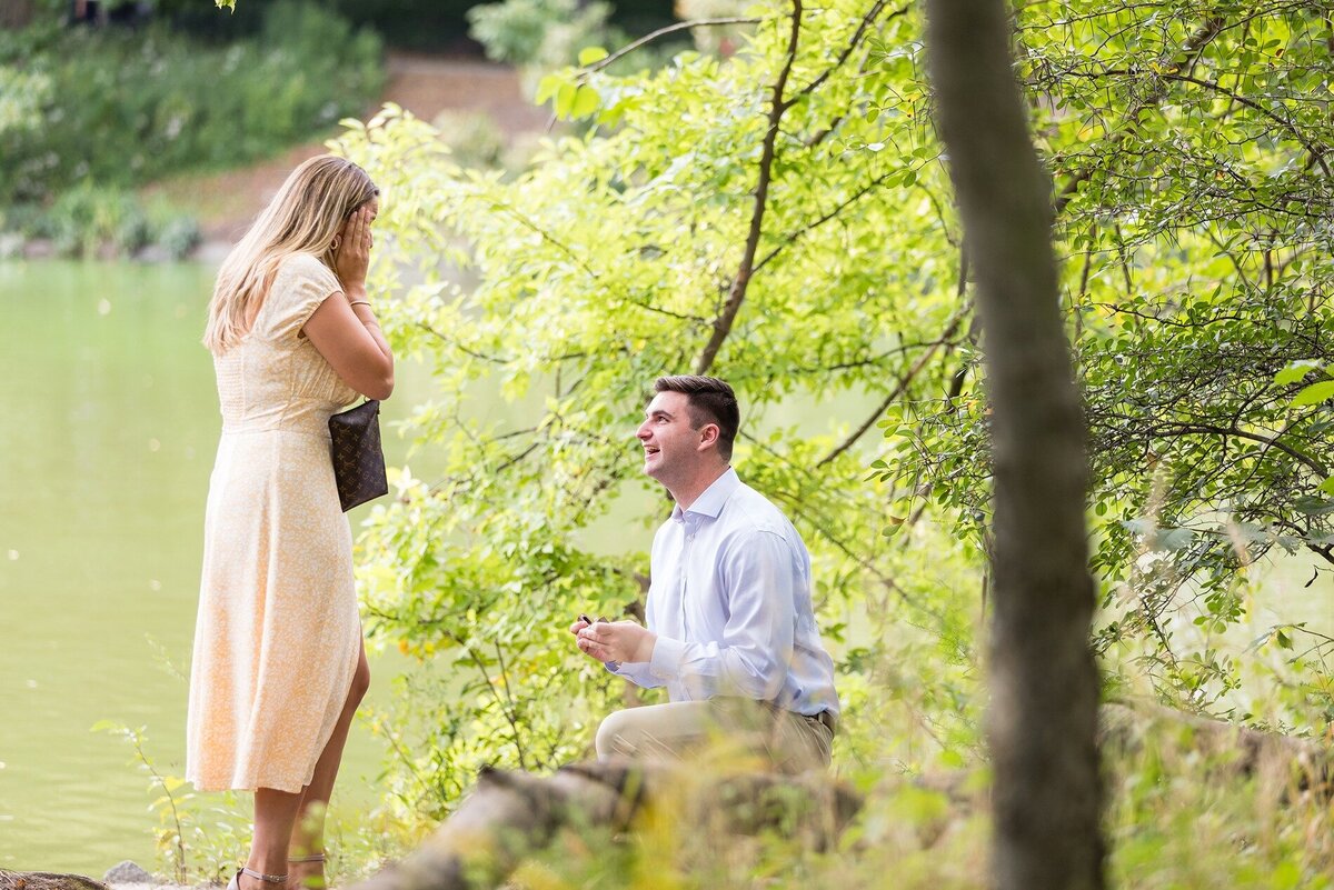surprise-proposal-central-park