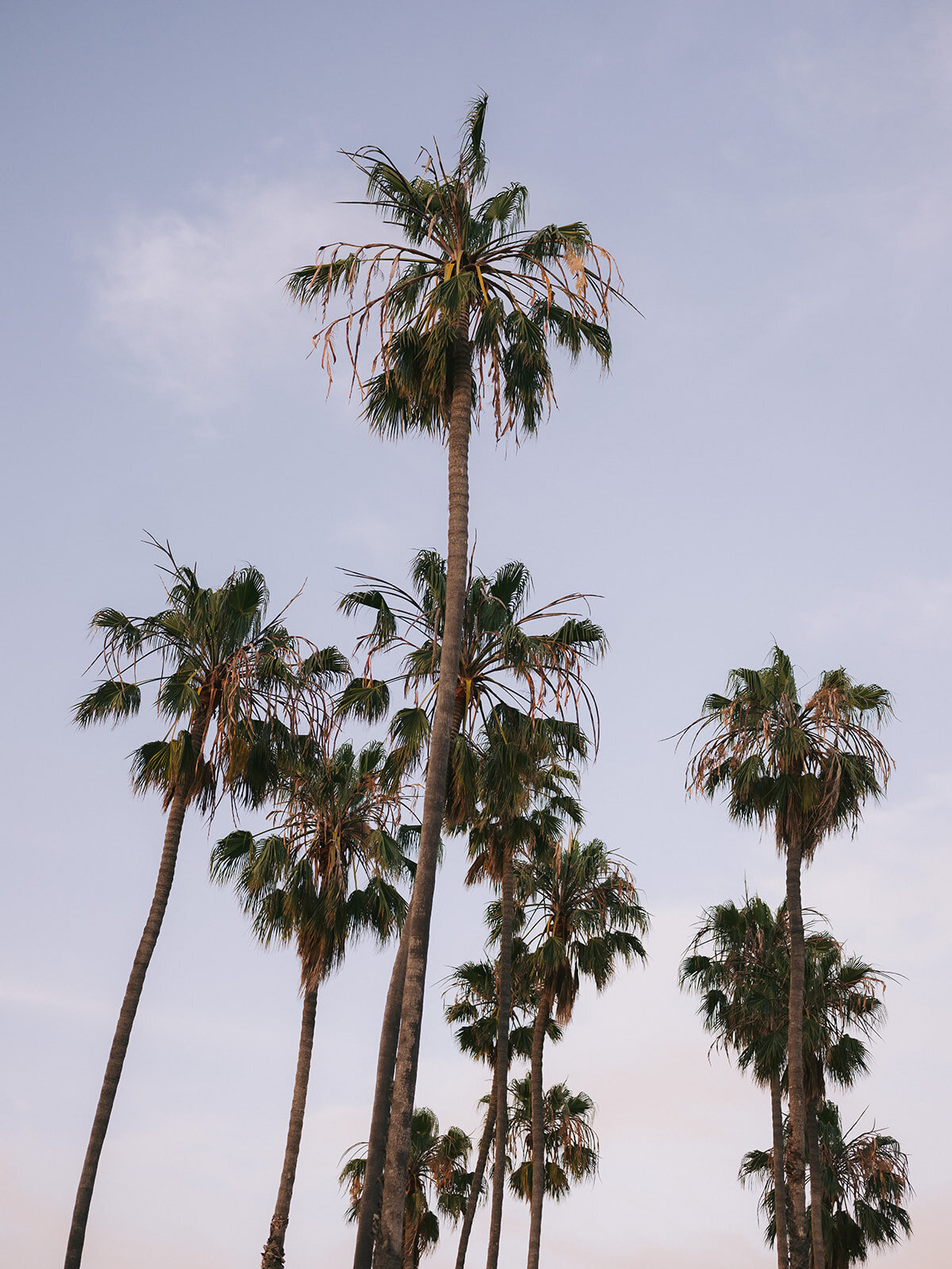 Hilton-Santa-Barbara-Beachfront-Resort-Wedding-Photography-367