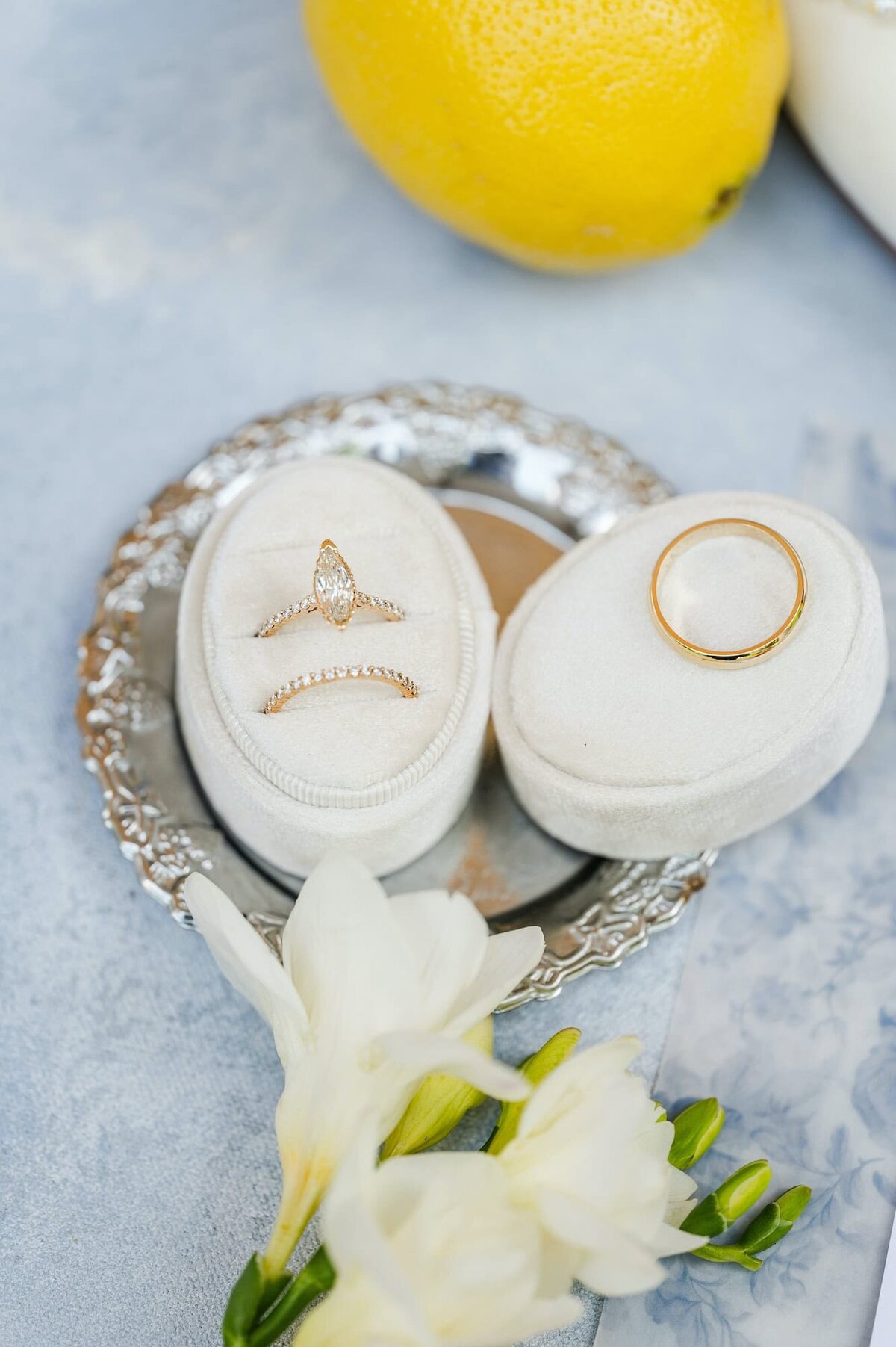 Elli-Row-Photography-Tate-House-Wedding_8883