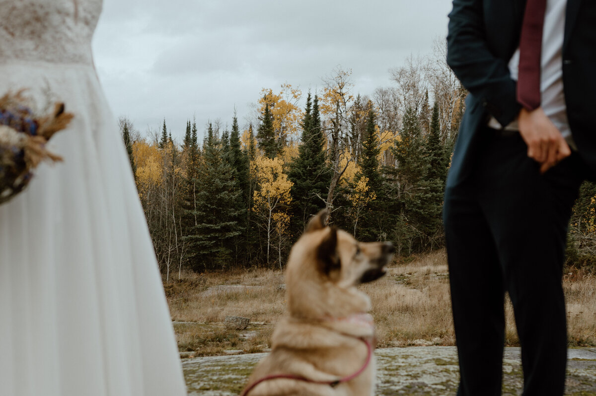 Manitoba-Cabin-Wedding102