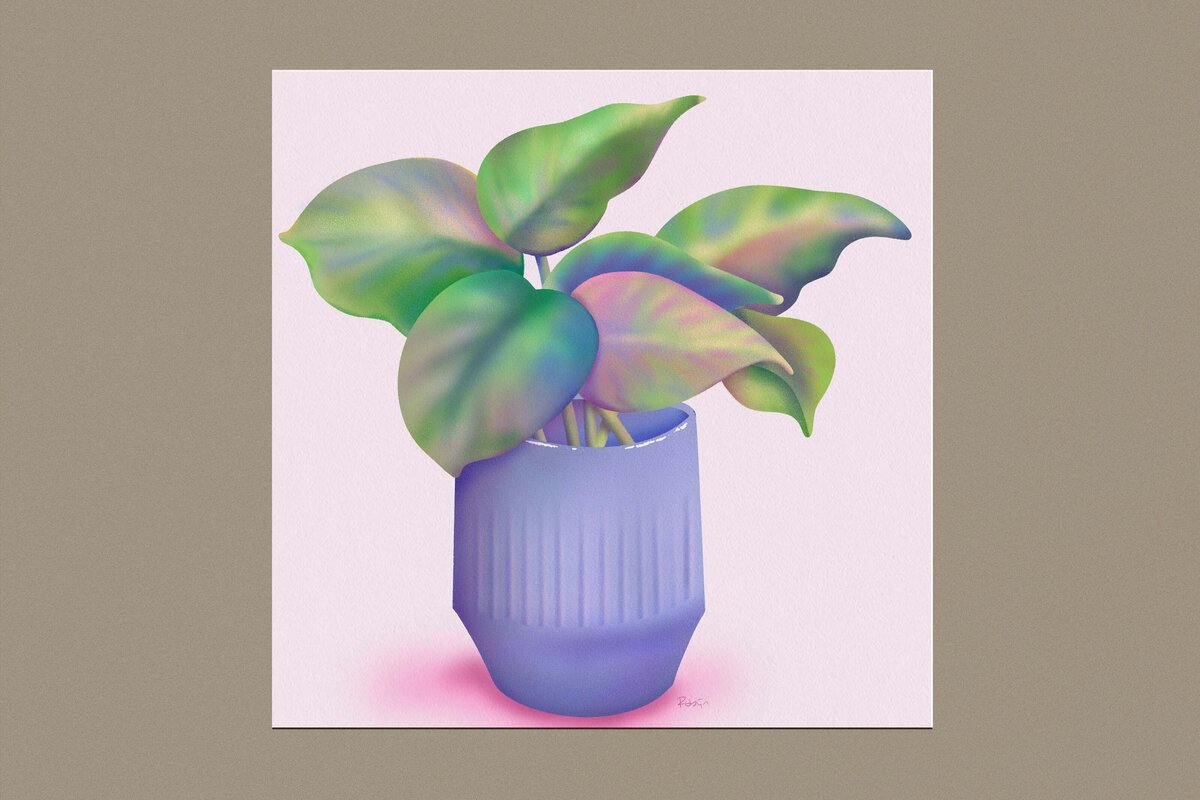 faded plant