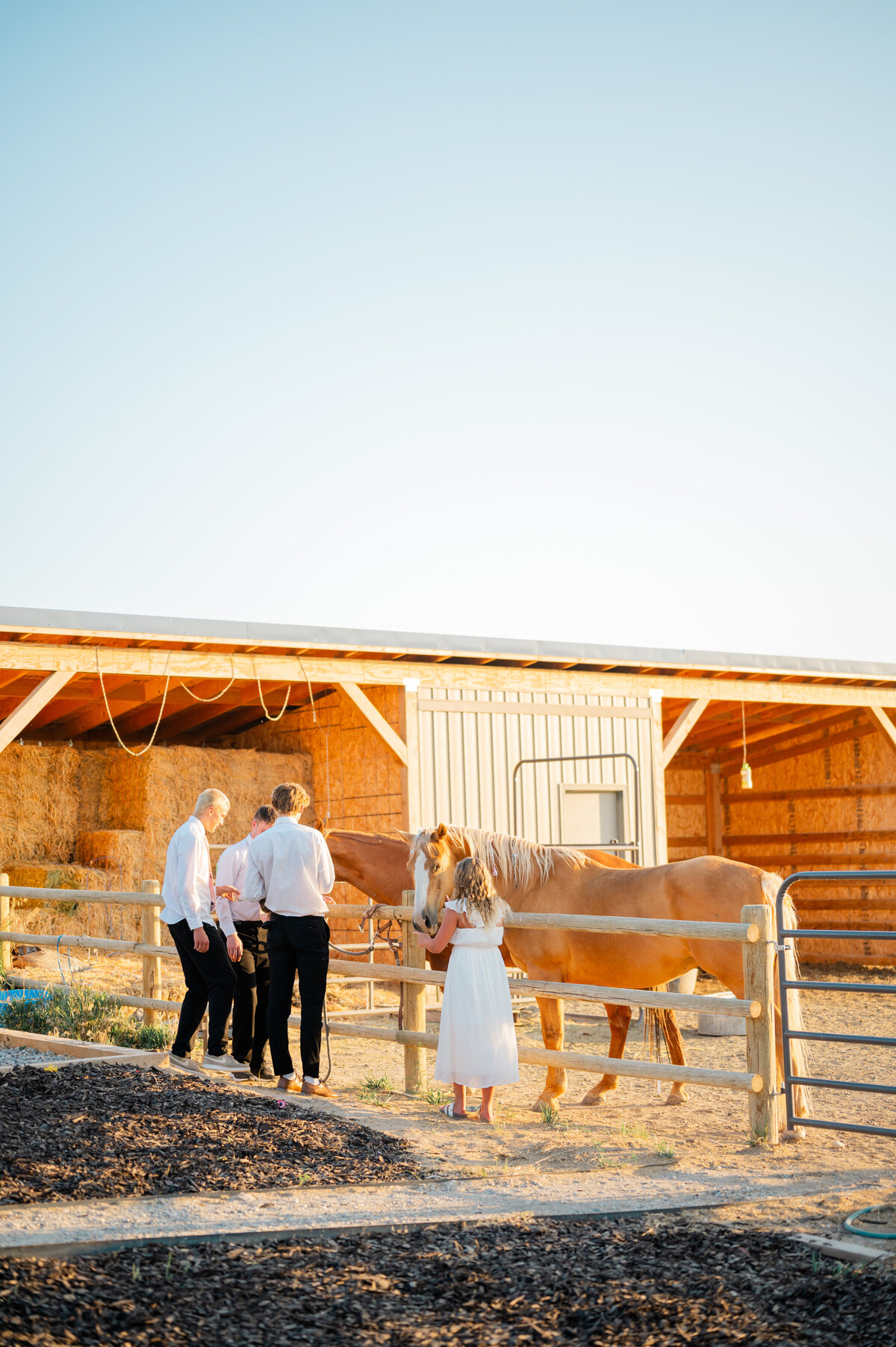 Essie & David (425 of 578)