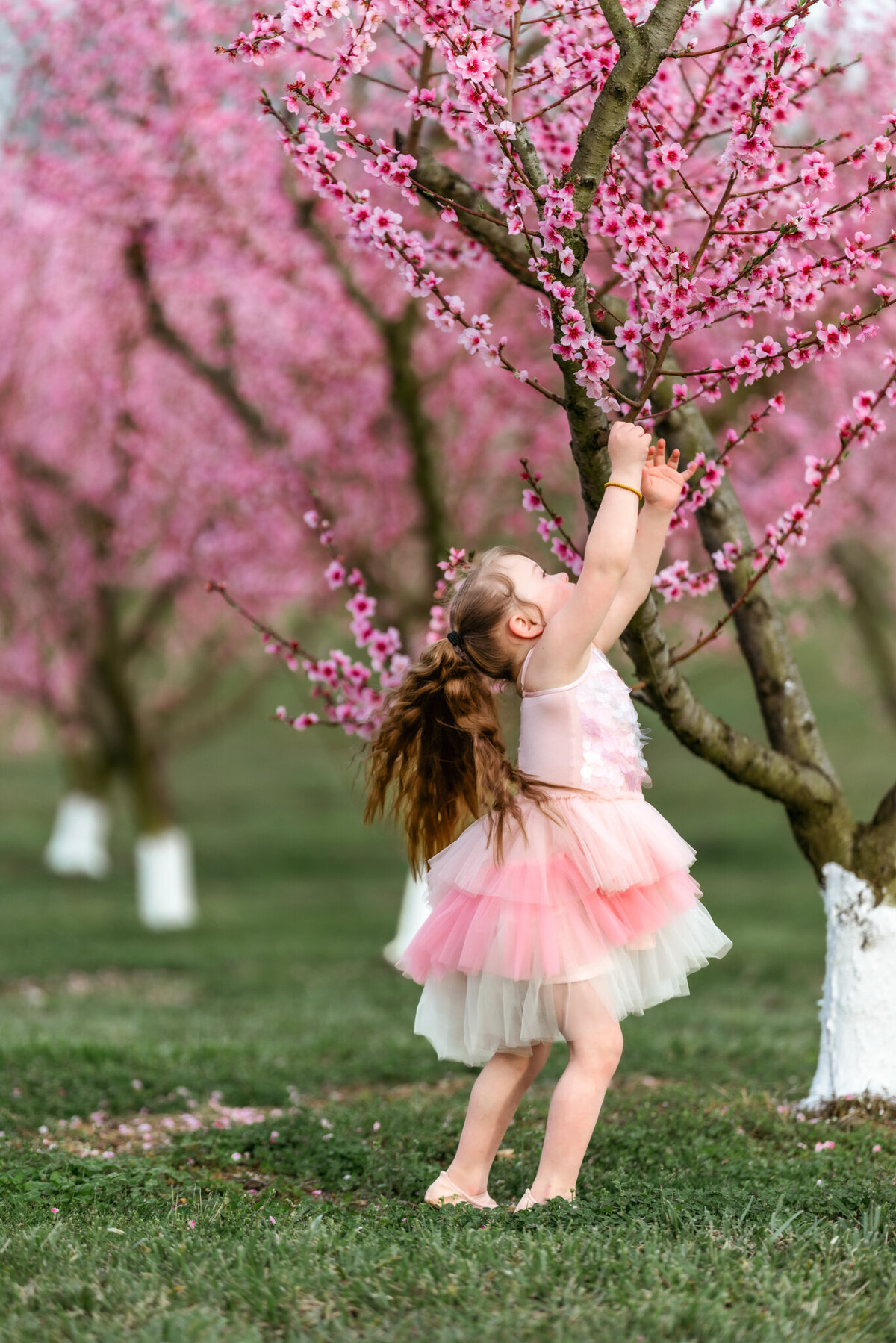 Raleigh-family-photographer-1387