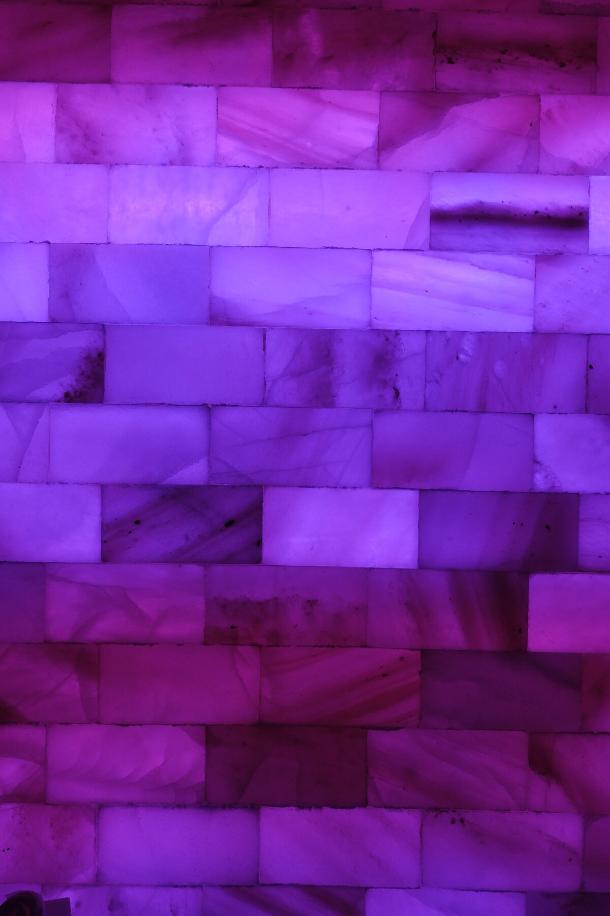DSCF2038
