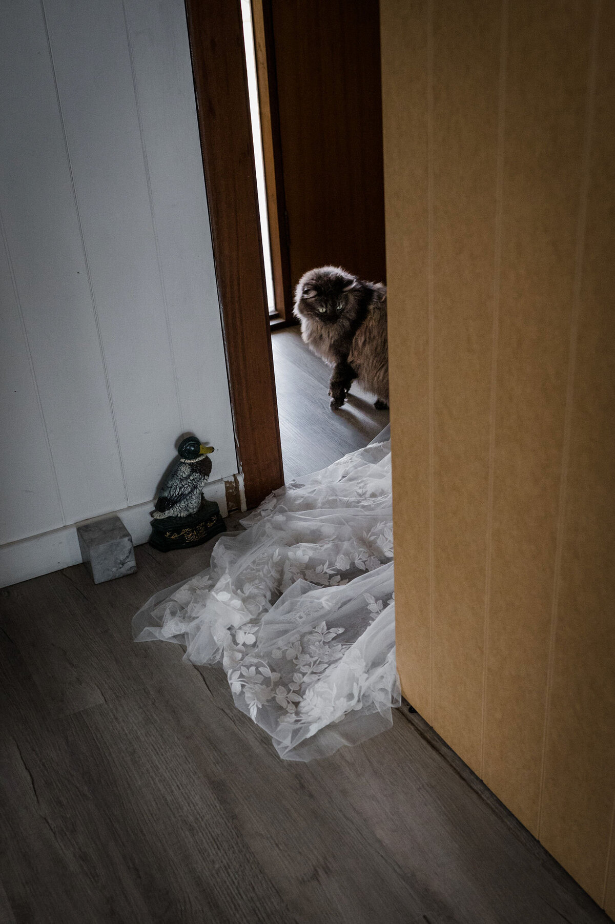 ehlanna-jake-backyard-falcon-wedding-freedom-garvey-photographer-006