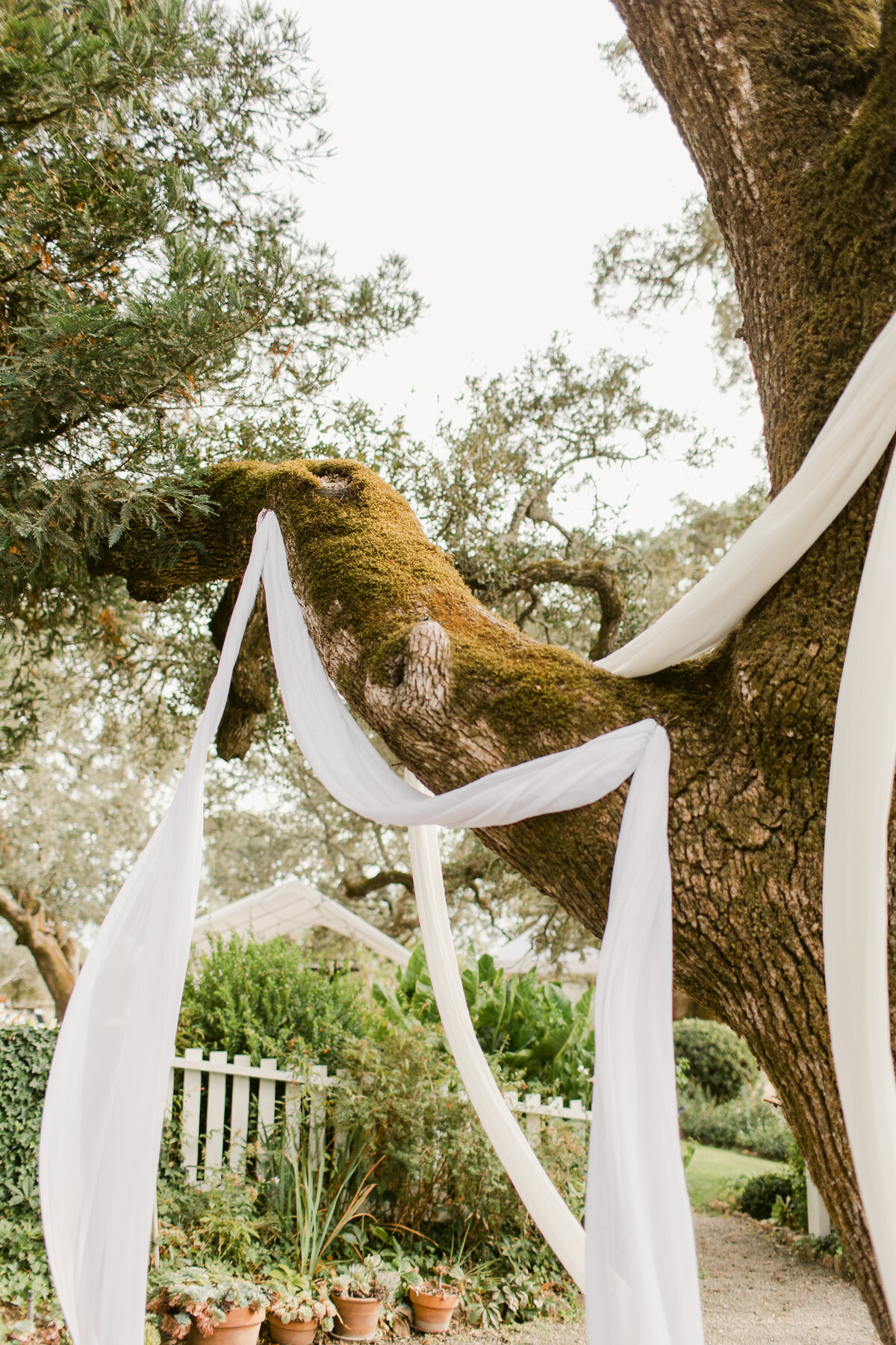 beltane-ranch-wedding-19