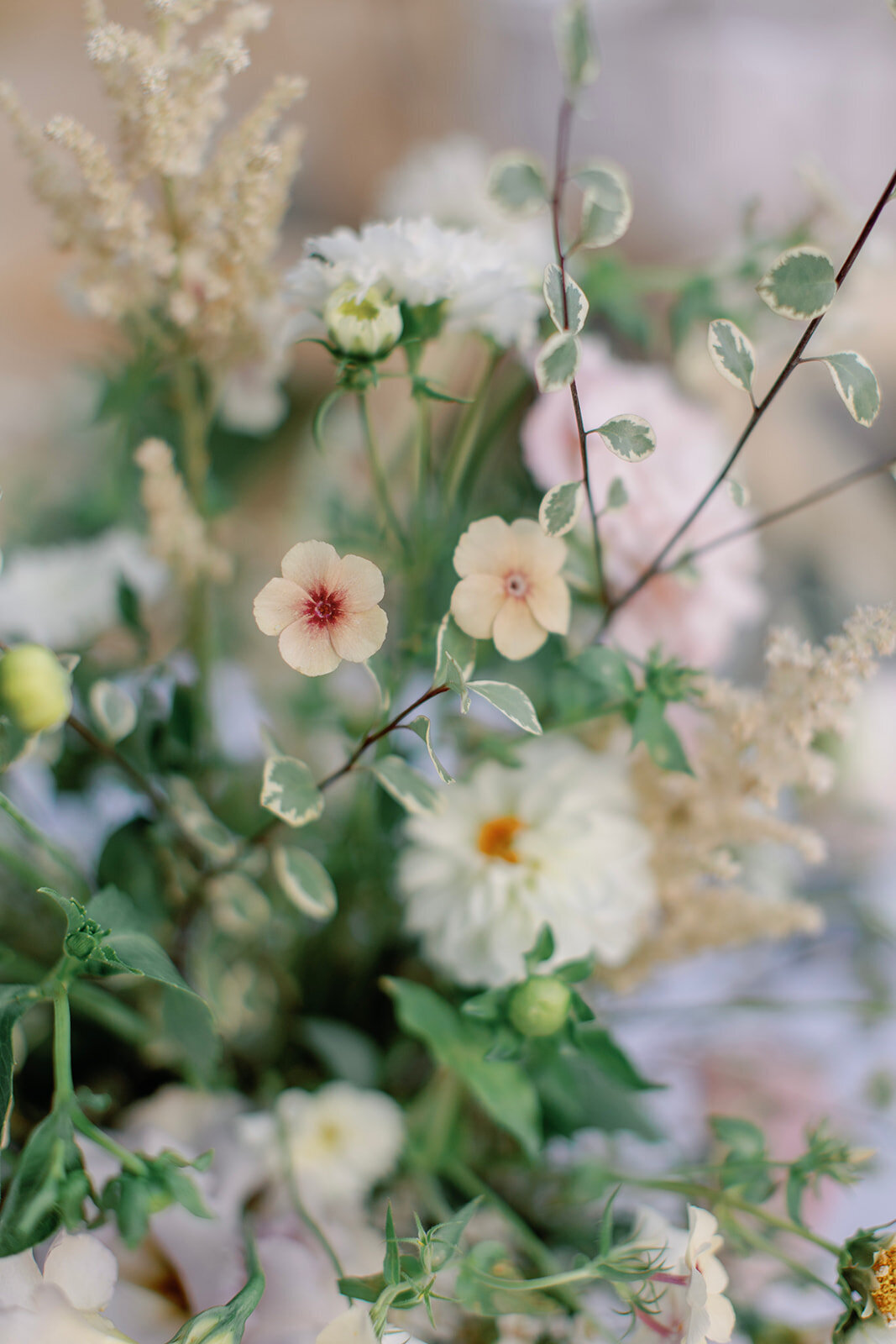 bernardus-lodge-wedding-carmel-photographer-117