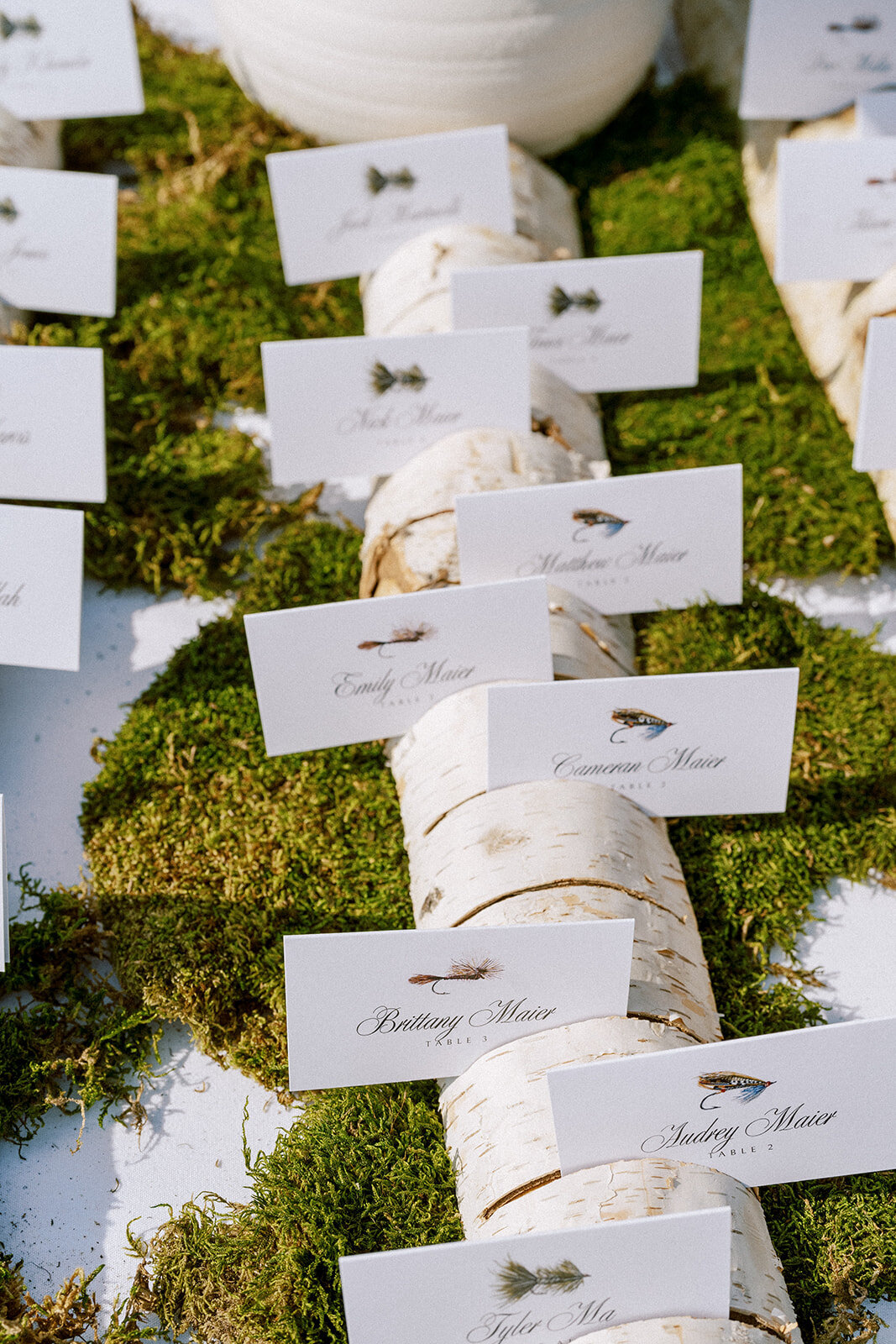 Isabelle + Renic_Wedding-264