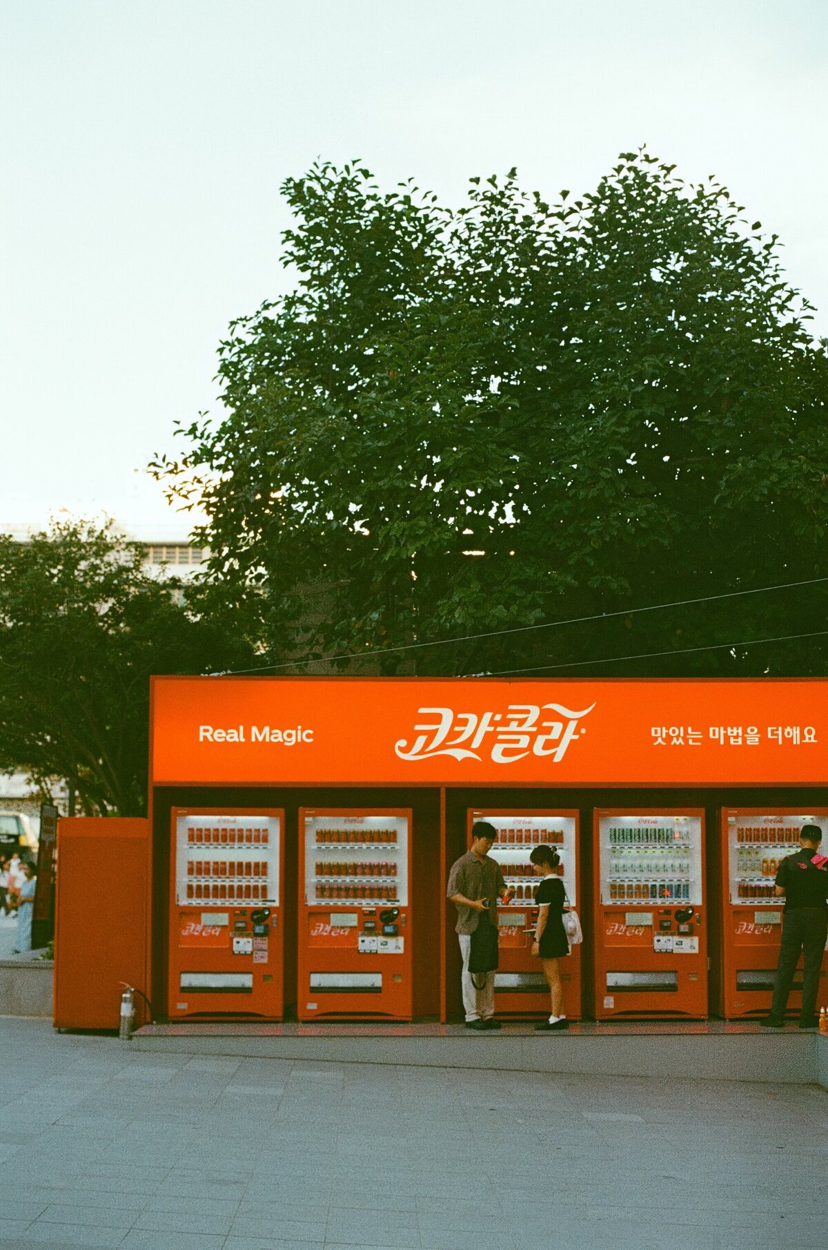 Rainstone Photography 241031 Japan & Seoul Trip-8