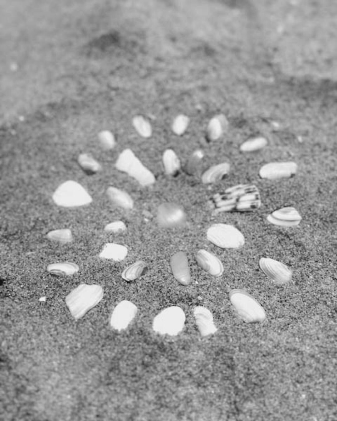 Belleza Sol - IG (5)