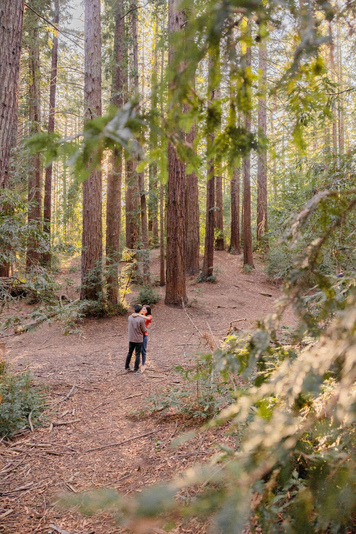 Oakland East Bay Redwoods Engagement Session