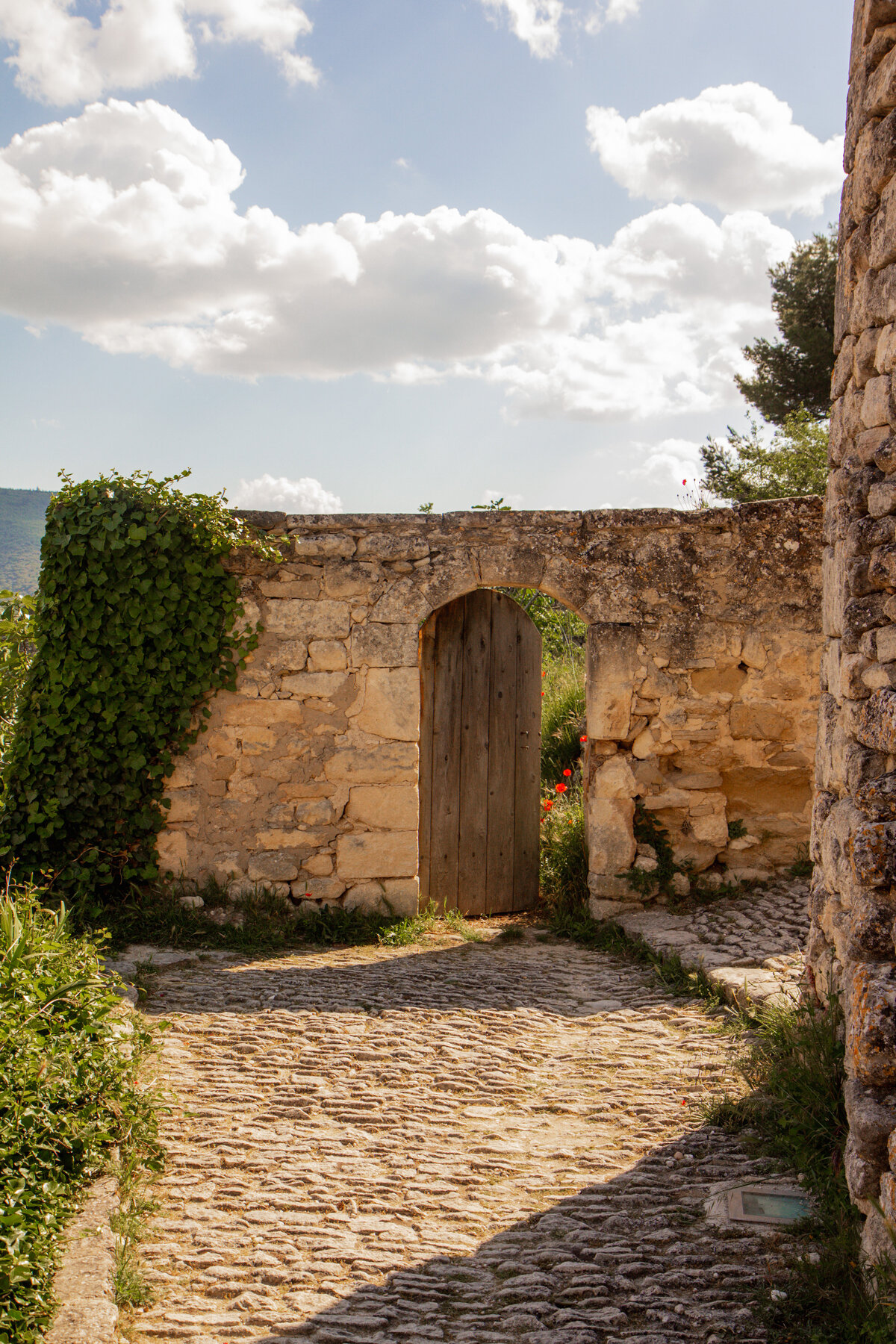 Provence-24