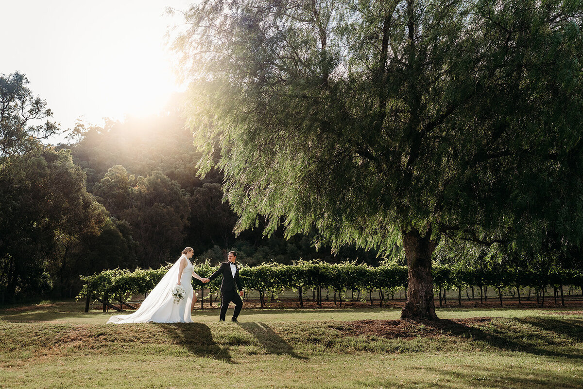 Margan_Photography_Tallits_Estate_Hunter_Valley-148