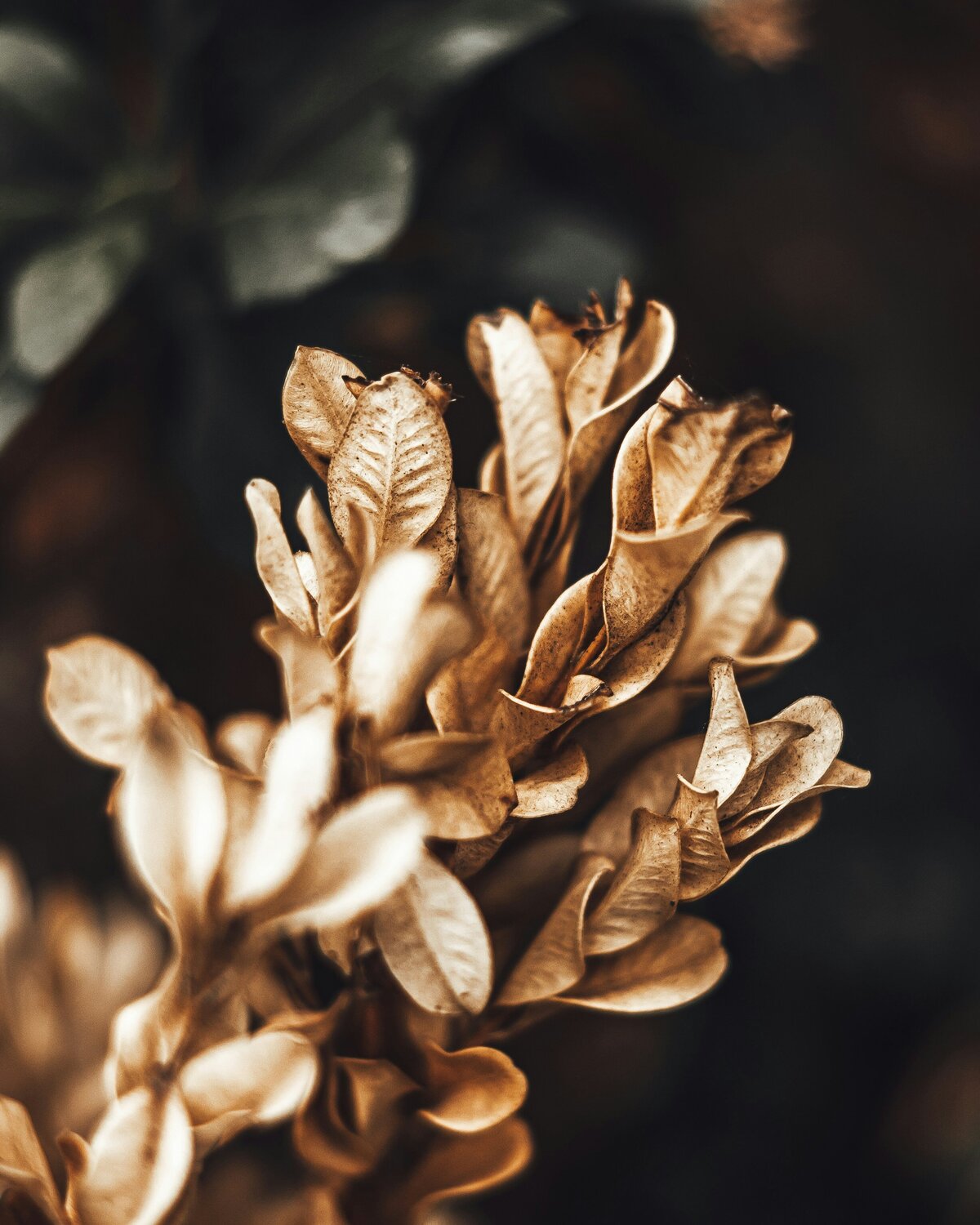 wojciech-paczes-UHyiVs8ALrA-unsplash