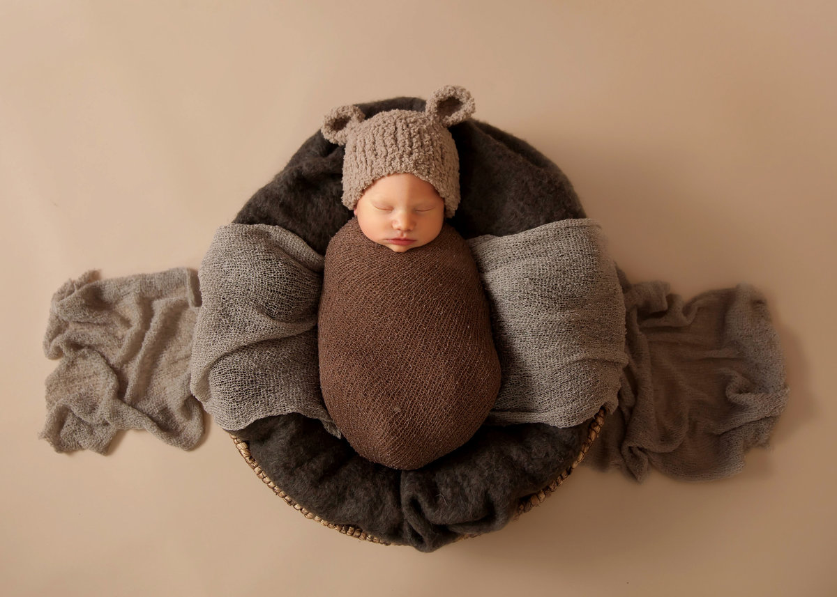 newborn-wrapped-south-jersey-bear