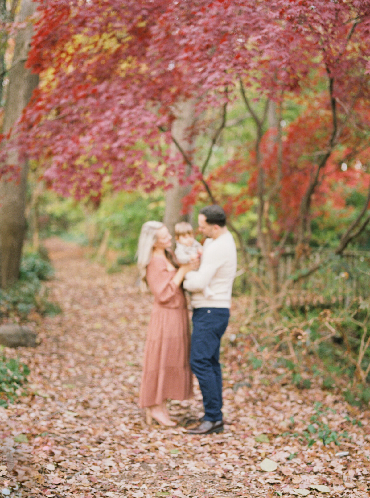 fall family photos in upstate new york