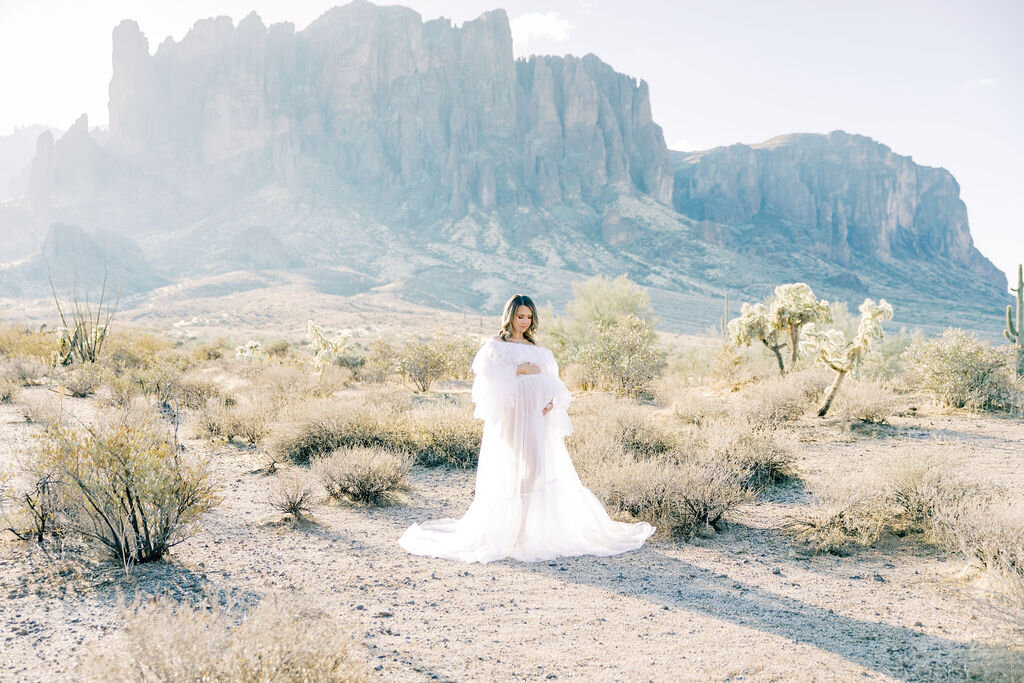 Phoenix-Maternity-Photographer-Adelheidv-Photography-9