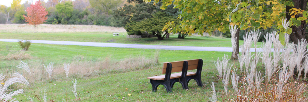 bench_meadow