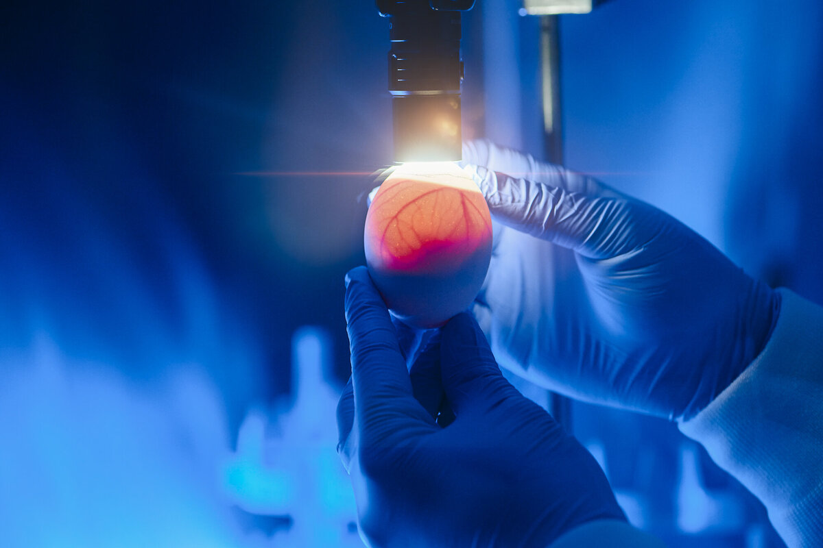 San Diegp Biotech Photographer-106