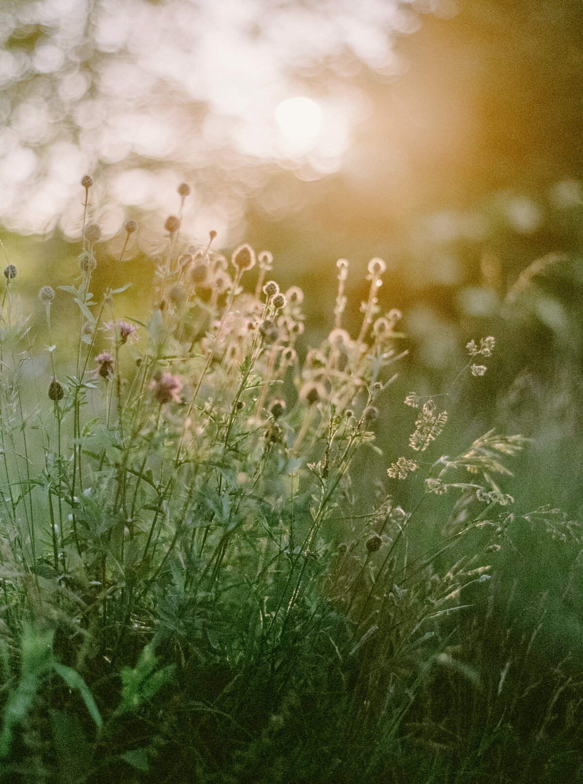 andrearufenerphotography-2