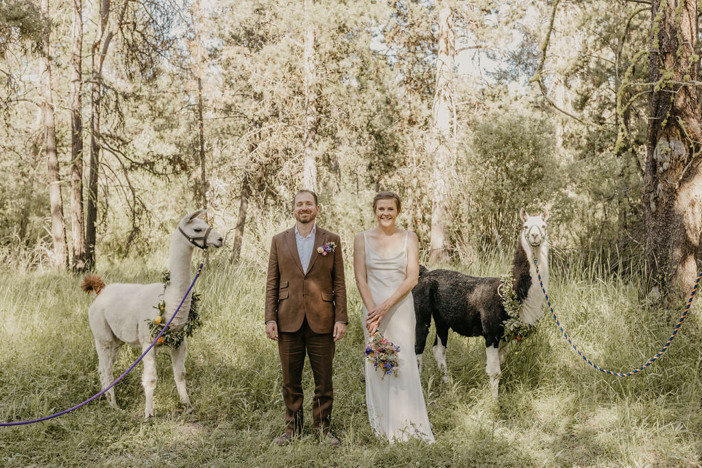 Kirsten+Phil-659