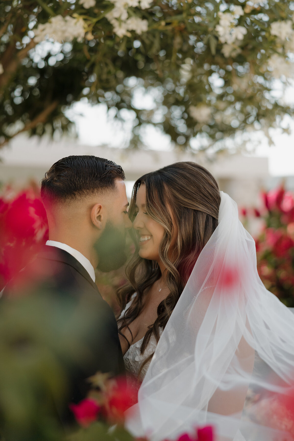 The Shammo's Wedding-343