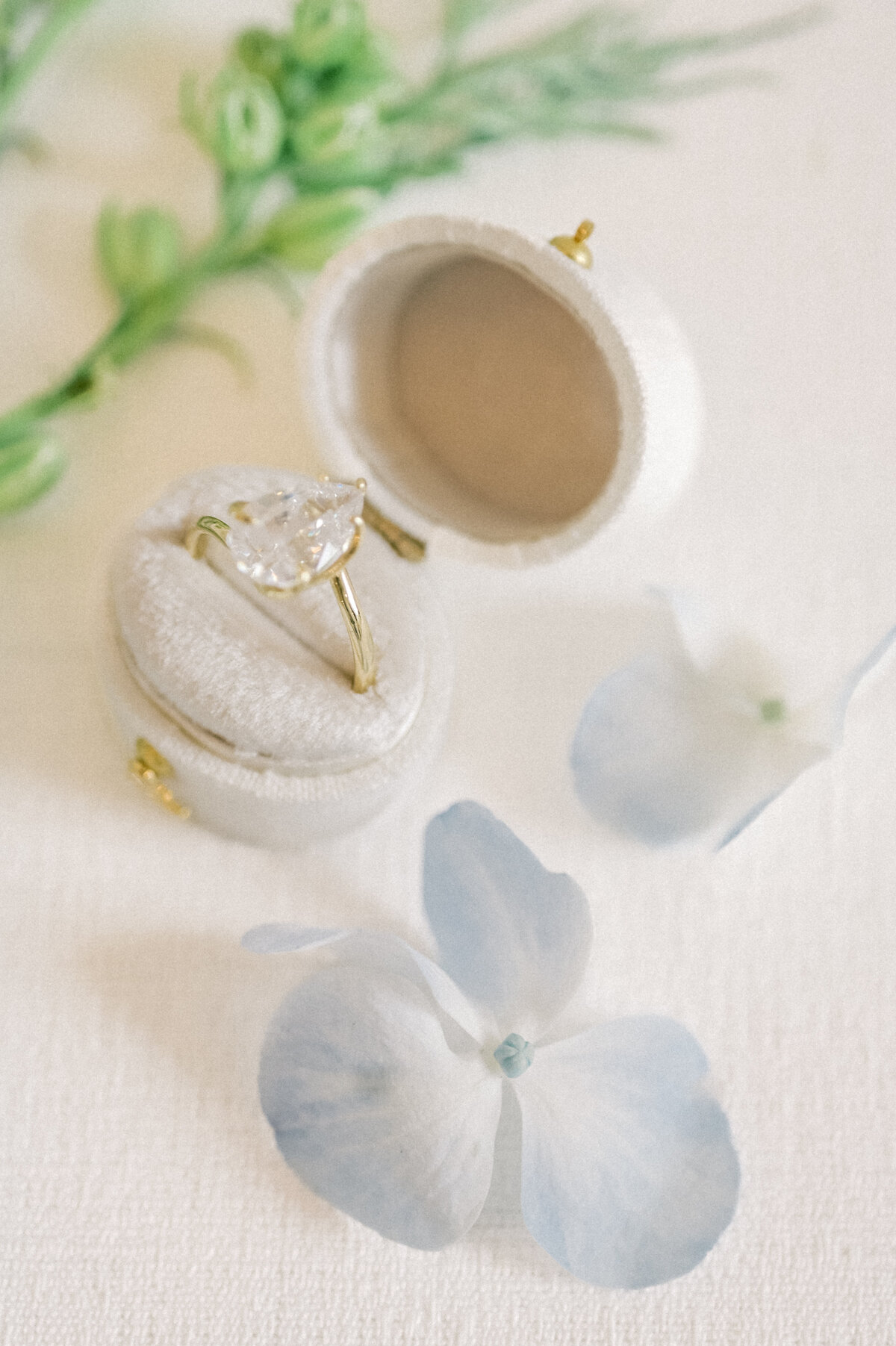 Wedding Ring Shot