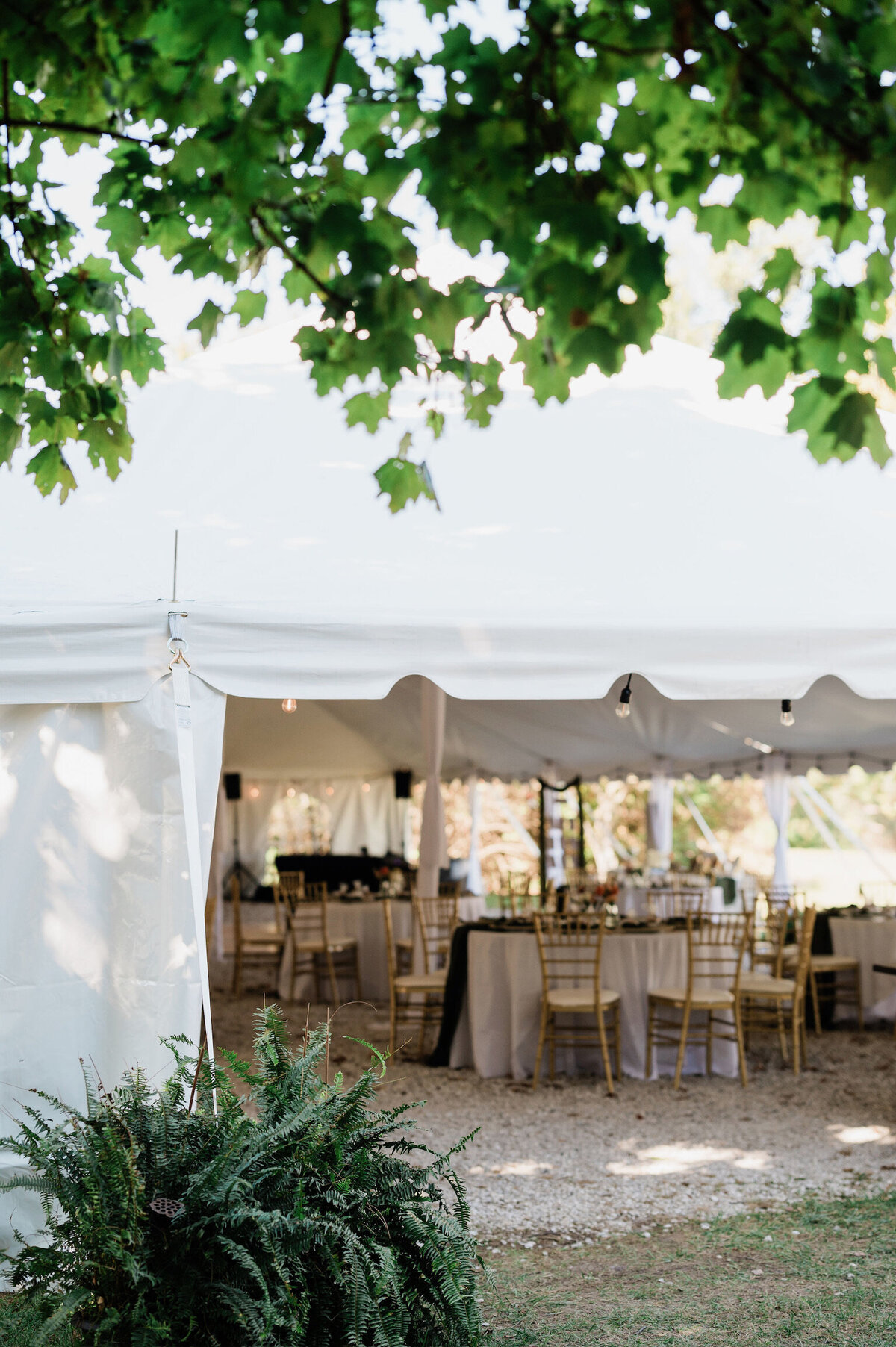 Toledo Outdoor Tent Wedding Venue