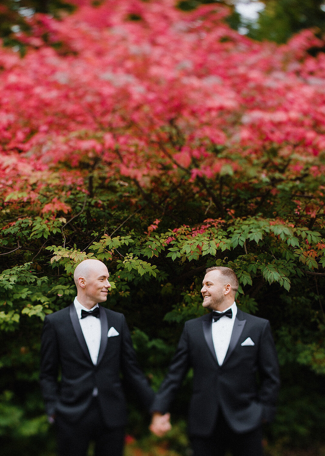 Couple homosexuel de mariés l'automne devant un arbre aux feuilles rouges.
